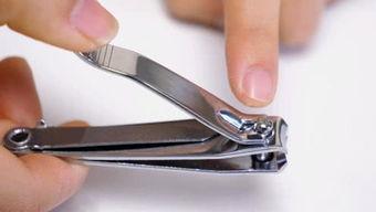 国产指甲刀发展史视频,从传统工艺到创新发展的历程回顾