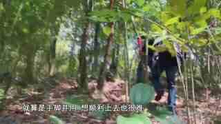 国产蛇开食视频播放网站,揭秘热门视频播放网站背后的精彩瞬间