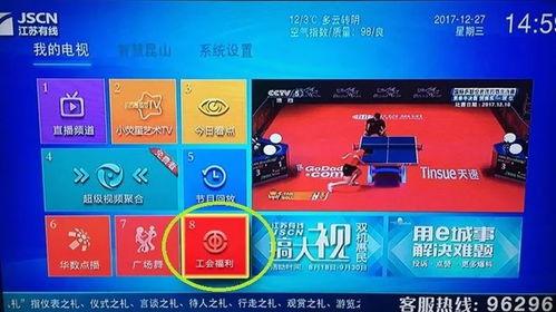 超国产福利在线视频播放,尽在在线视频盛宴