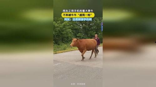 网友自拍国产视频牛牛,网友自拍展现独特魅力