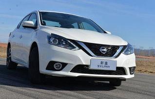 轩逸国产换壳视频大全下载,视频大全下载解析